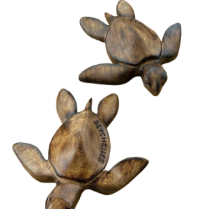 Sea turtle Plain-small