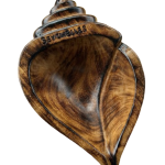 Wooden shell Bowl-one size only