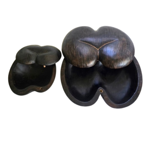 Coco de mer nut  -jewelry  box-one size