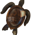 Wooden Turtle