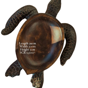Wooden Turtle