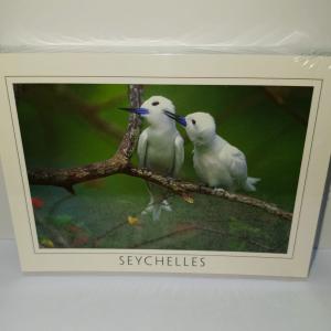 ECA IMAGE POSTCARD SMALL - FAIRY TERNS No.089