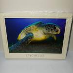 ECA IMAGE POSTCARD SMALL - GREEN SEA TURTLE No.055