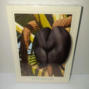ECA IMAGE POSTCARD SMALL - COCO DE MER NUT (INFLORESCENCE FROM MALE TREE) No.090